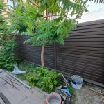 img 4243